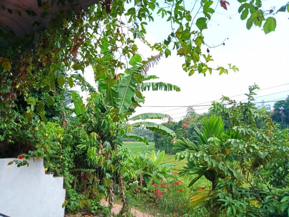 Green View Guest Мірісса Екстер'єр фото
